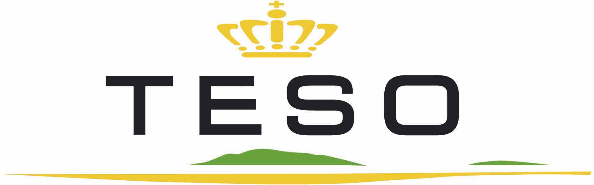 TESO_logo08_FC.jpg